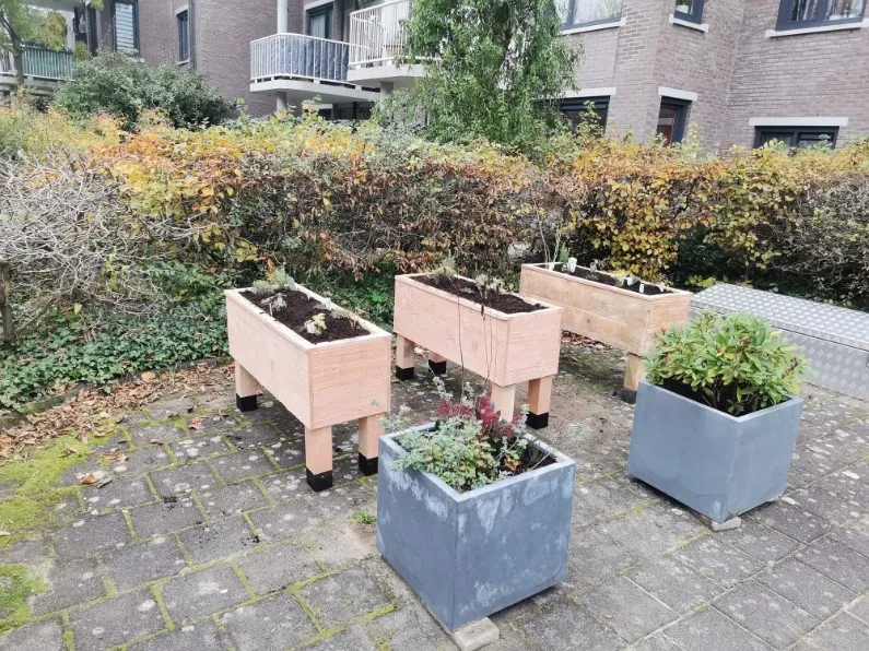 Jaap de Vries Producties Sittard moestuinbak Douglas 1250 mm hoog