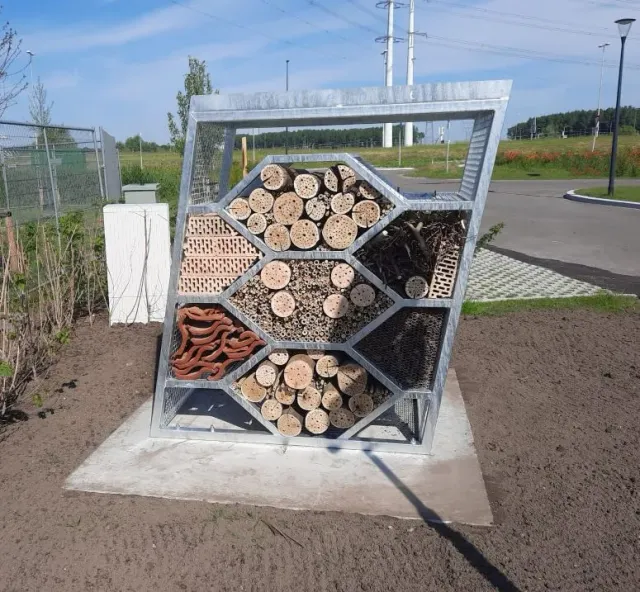 Jaap de Vries Greytown insectenhotel staal betonplaat
