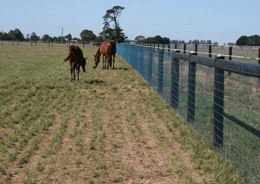 Jaap de Vries Producties paardenomheining met afrastering hout