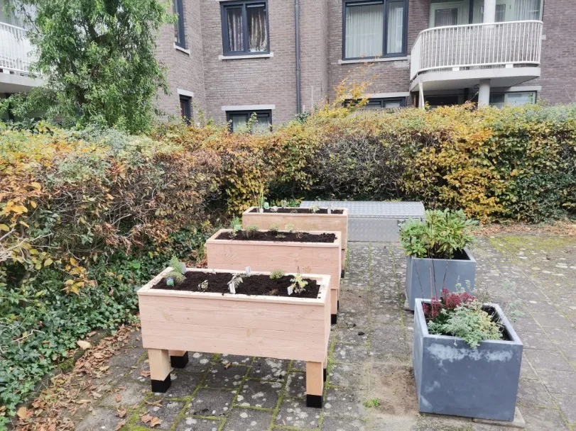 Jaap de Vries Producties Sittard moestuinbak Douglas 1250 mm hoog