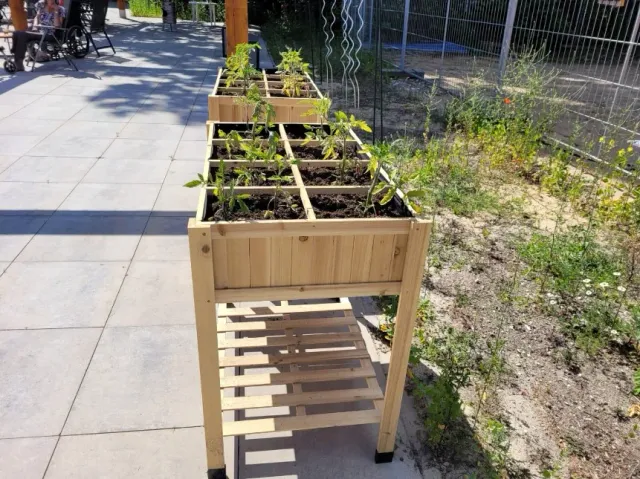 Jaap de Vries Producties moestuinbak houten verhoogd kruiden