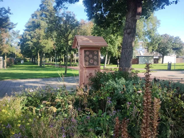 Jaap de Vries Belfast insectenhotel combi vitrinekast eiken