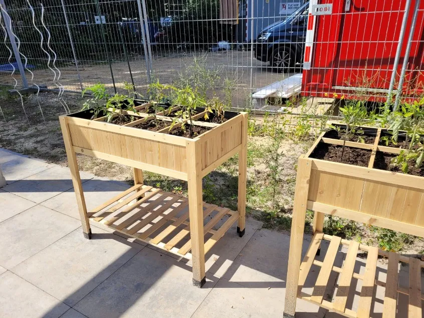 Jaap de Vries Producties moestuinbak houten verhoogd kruiden