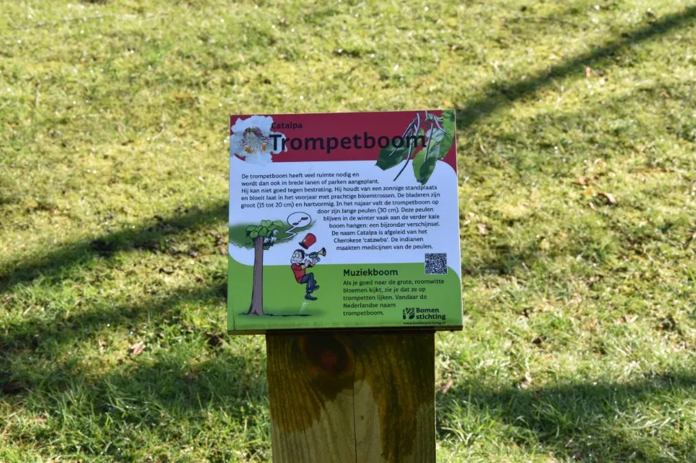 Jaap de Vries Educatief informatiebord hout full-colour
