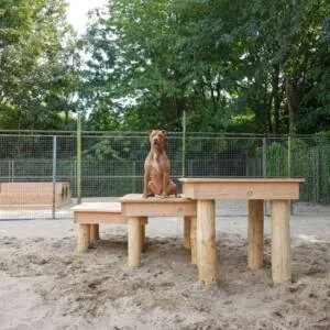 Jaap de Vries Plateau hondenplateau Douglas set 3 stuks