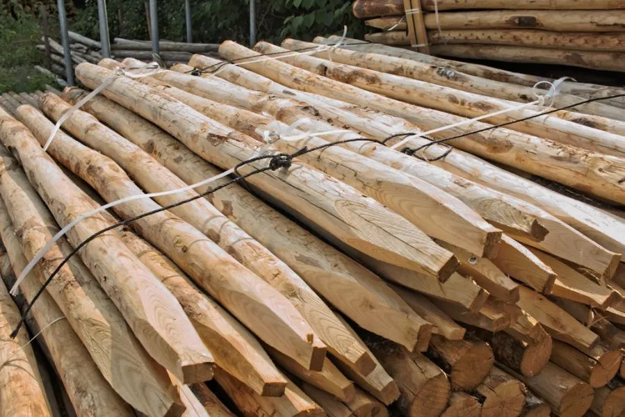 Jaap de Vries Producties boompaal kastanje robinia