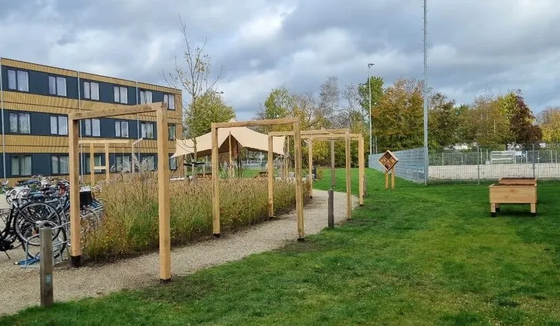Jaap de Vries Producties Heuvelrug pergola eikenhout maatwerk