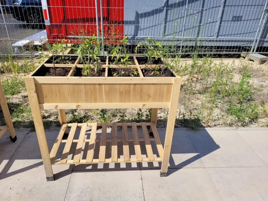 Jaap de Vries Producties moestuinbak houten verhoogd kruiden