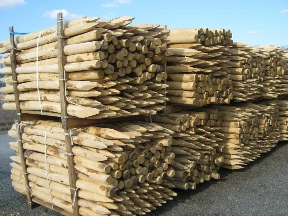 Jaap de Vries Producties boompaal kastanje robinia