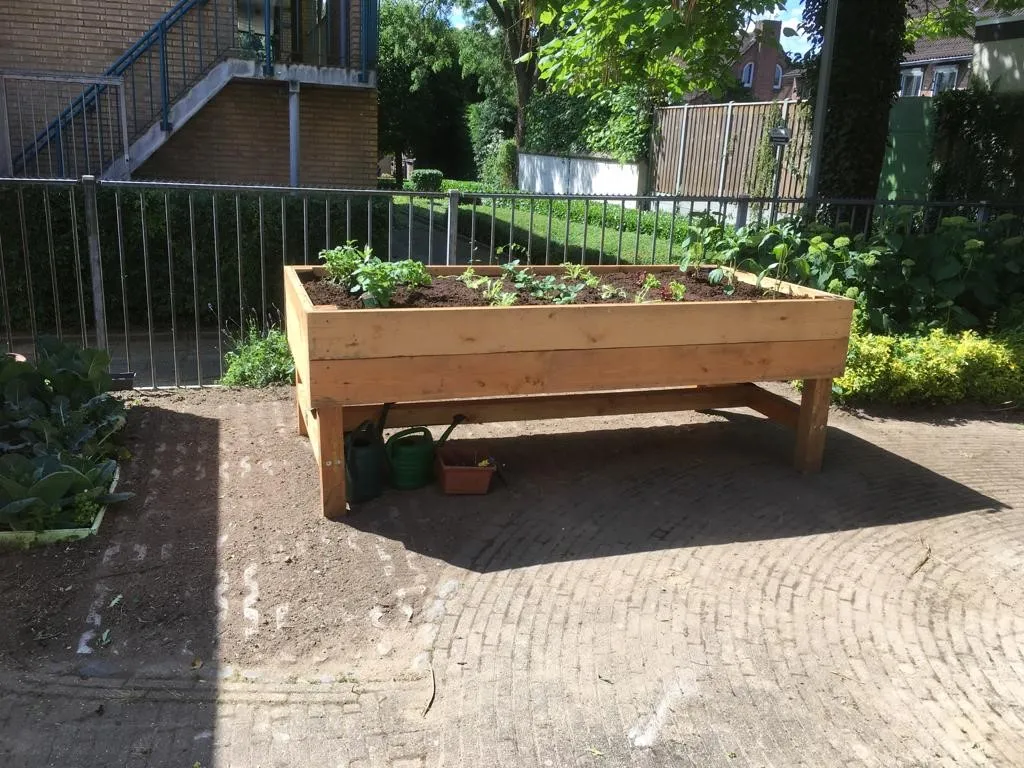 Jaap de Vries Roermond moestuinbak 250 cm verhoogd douglas