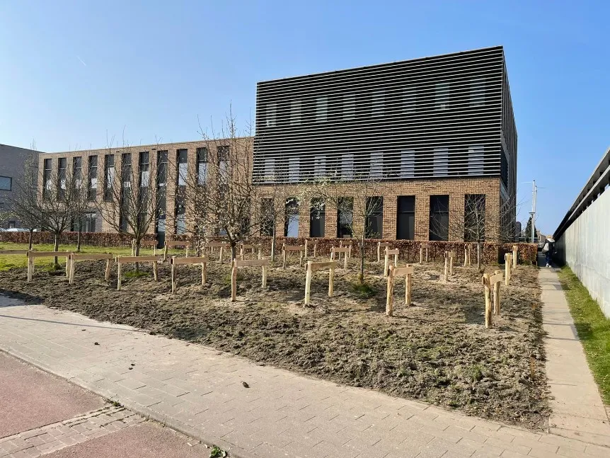 Jaap de Vries Napoli fietsenstalling hout fietsnietje