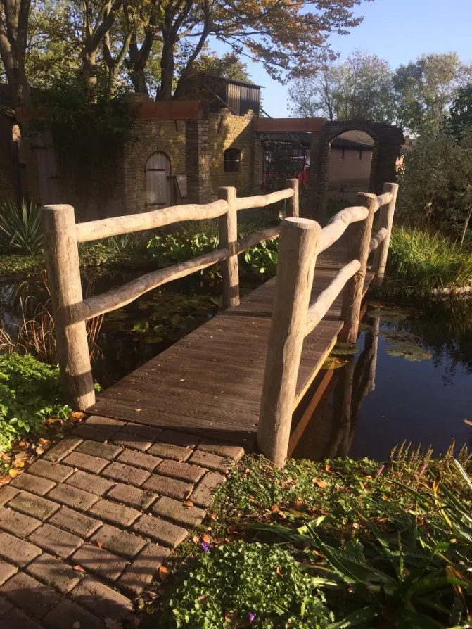 Jaap de Vries Belfast vijverbrug hout natuur