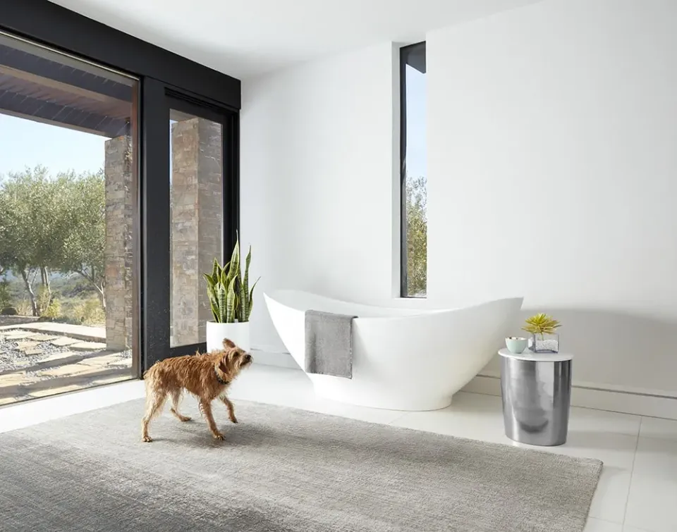 Sutherland Furniture Take The Plunge sierkussen knoop