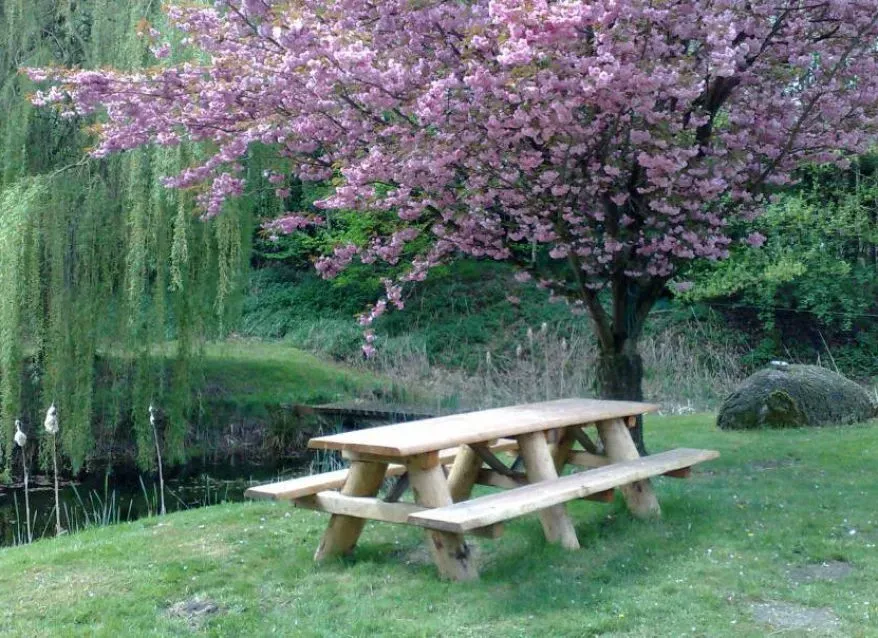 Jaap de Vries Producties Boston 300 picknicktafel 10-12 pers douglas