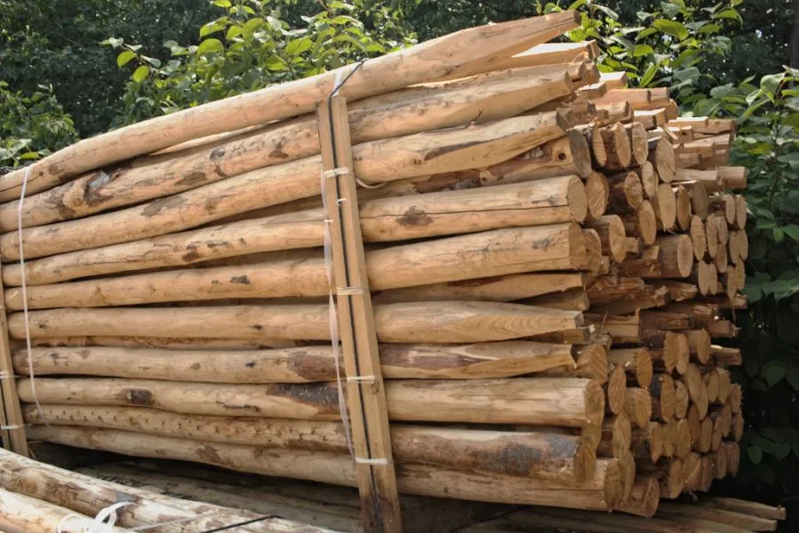 Jaap de Vries Producties boompaal kastanje robinia