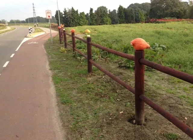 Jaap de Vries Producties Lille hekwerk post en rail
