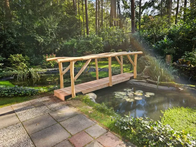 Jaap de Vries Belfast vijverbrug hout natuur