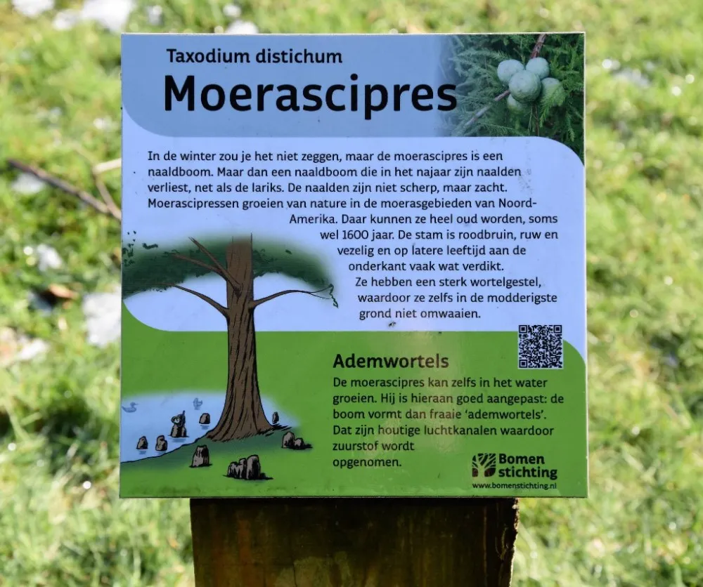 Jaap de Vries Educatief informatiebord hout full-colour