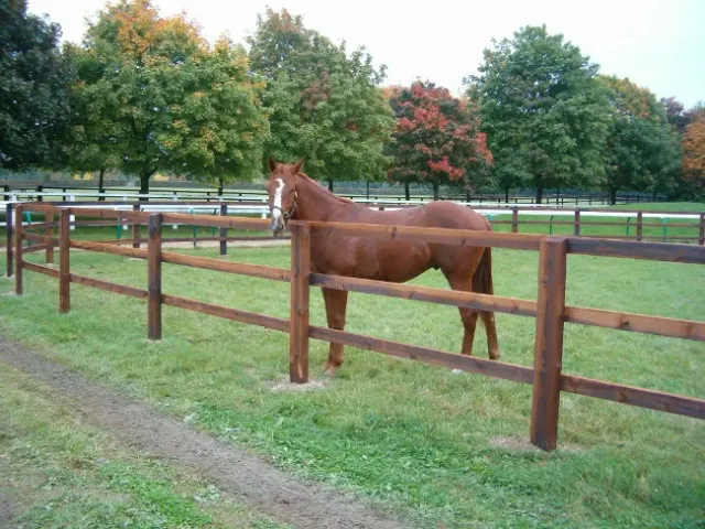 Jaap de Vries paardenomheining kantrecht hout