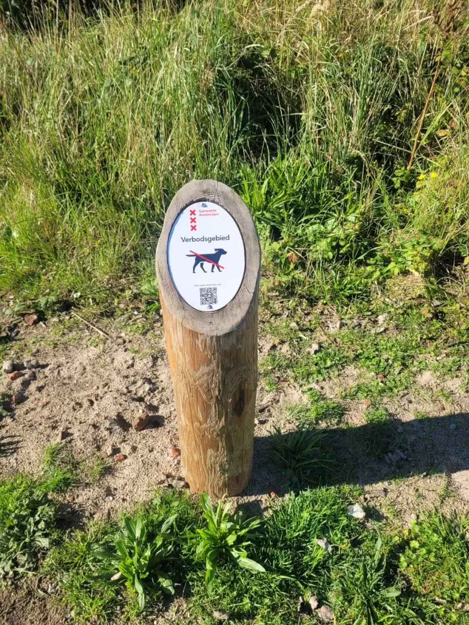 Jaap de Vries Amsterdam hondenbeleidspaal hout 130 cm
