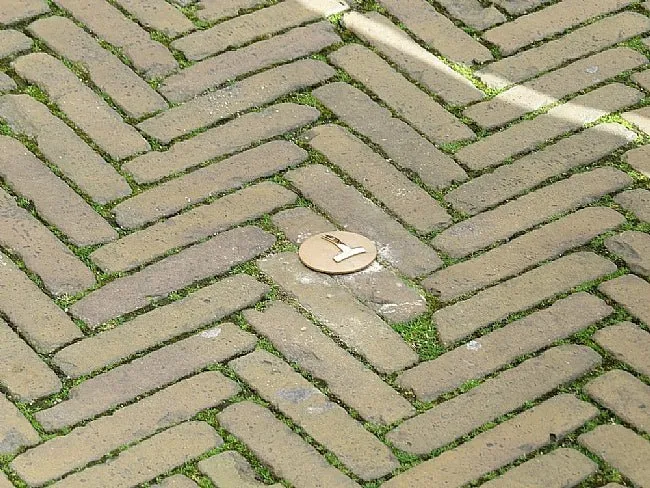 Groundlevel Terrassen markeernagel brons 65mm