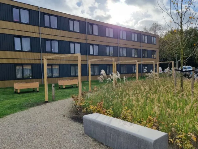 Jaap de Vries Producties Heuvelrug pergola eikenhout maatwerk