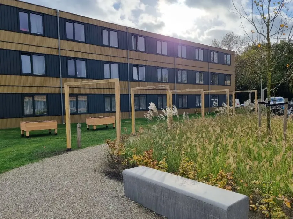 Jaap de Vries Producties Heuvelrug pergola eikenhout maatwerk