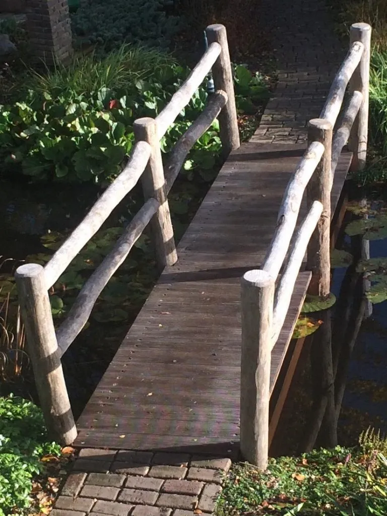Jaap de Vries Belfast vijverbrug hout natuur