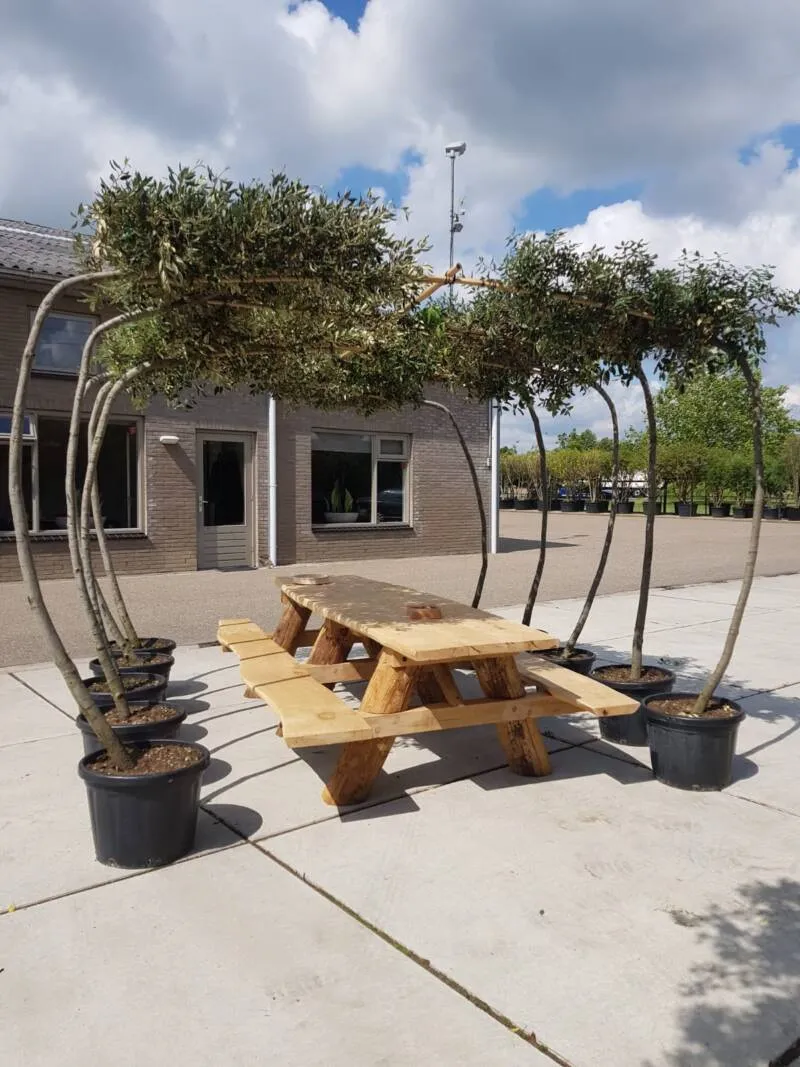 Jaap de Vries Producties Liberty 300 picknicktafel eiken 8-12 personen