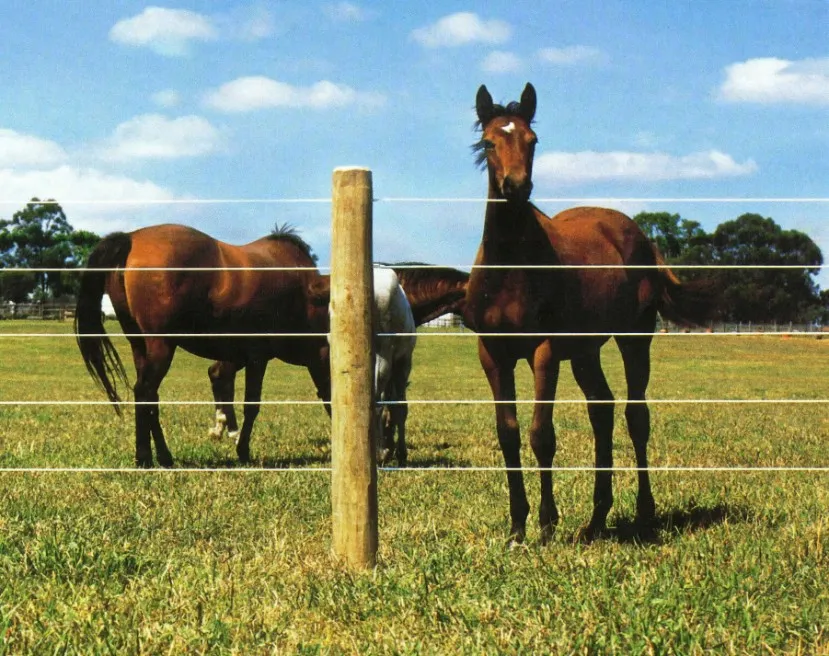 Jaap de Vries Producties paardenomheining met afrastering hout