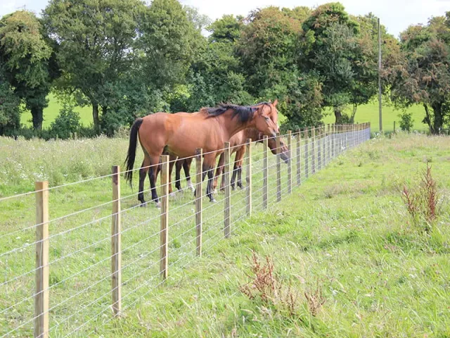 Jaap de Vries Producties paardenomheining met afrastering hout