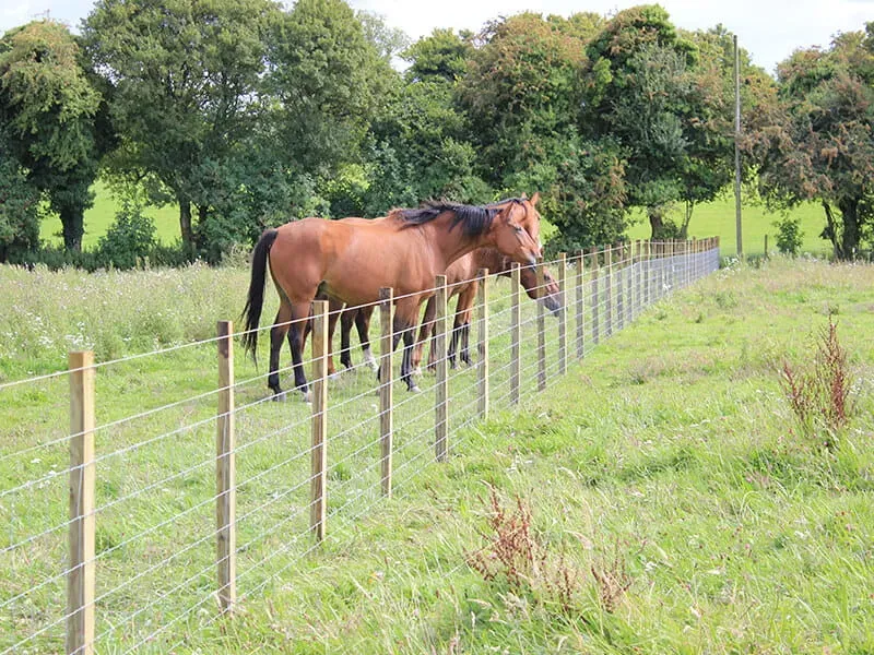 Jaap de Vries Producties paardenomheining met afrastering hout