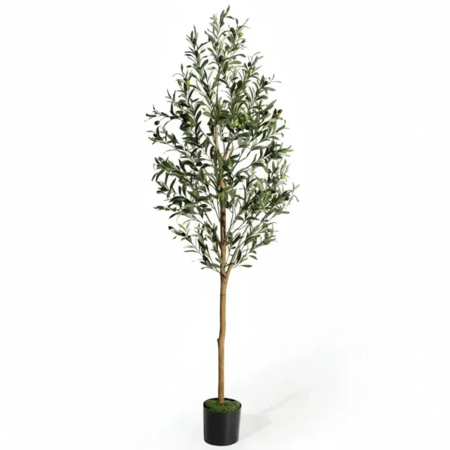 OutdoorMatch kunst olijfboom 180 cm houten stam binnen