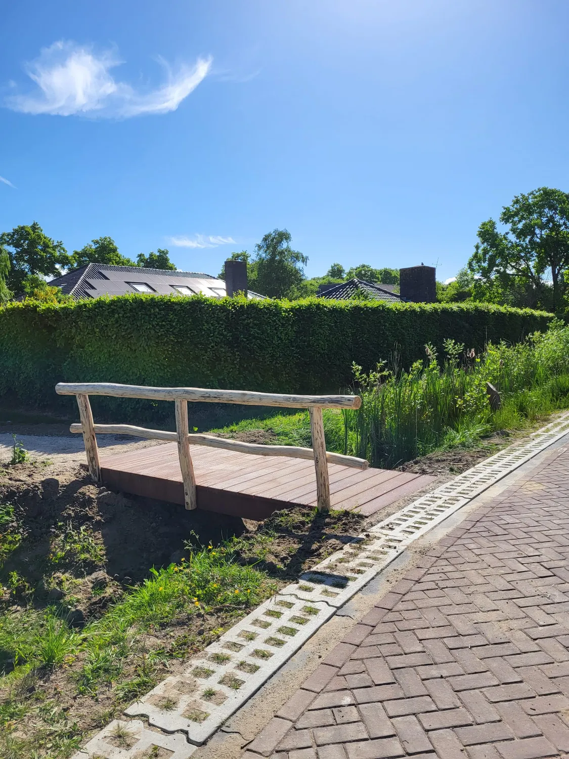Jaap de Vries Glasgow houten brug Douglas vijverbrug