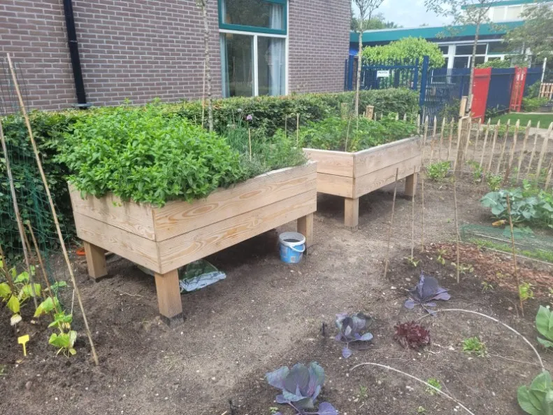 Jaap de Vries Producties Sittard moestuinbak Douglas 1250 mm hoog