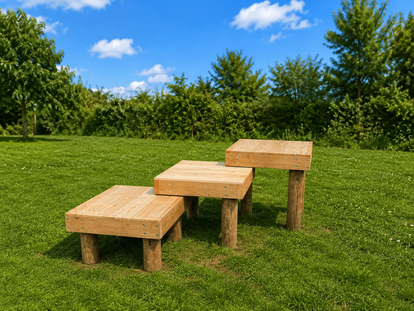 Jaap de Vries Plateau hondenplateau Douglas set 3 stuks