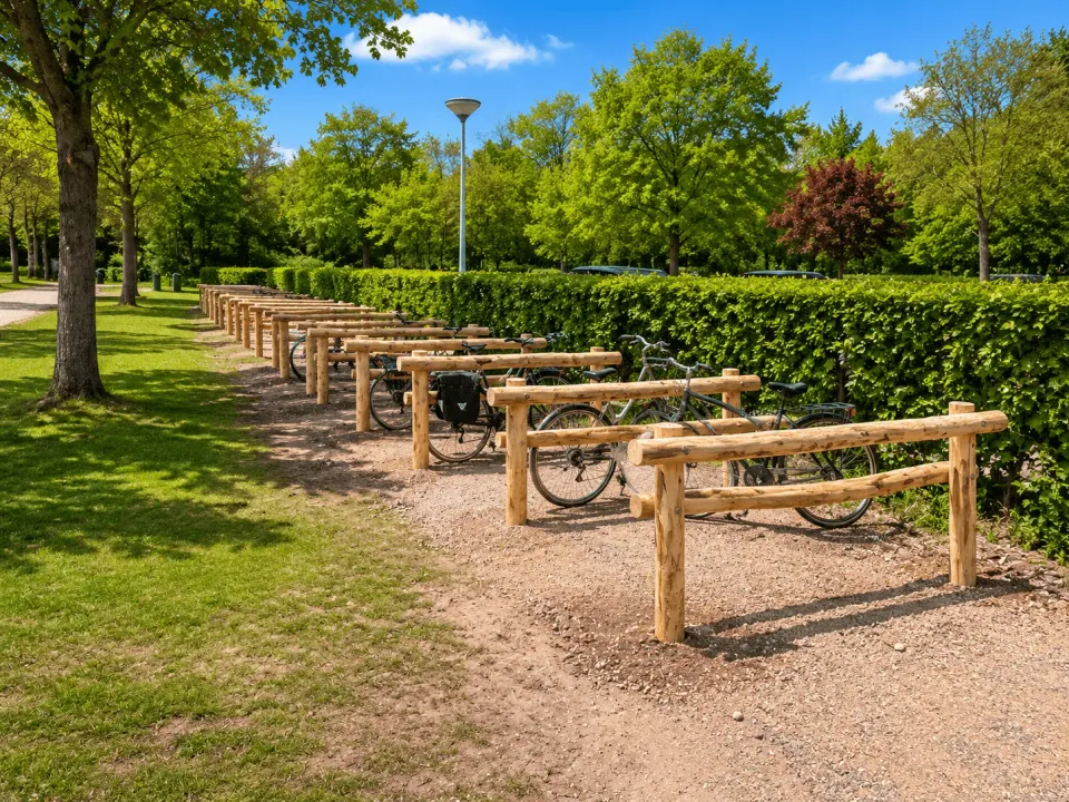Jaap de Vries Producties Roma fietsnietje robinia