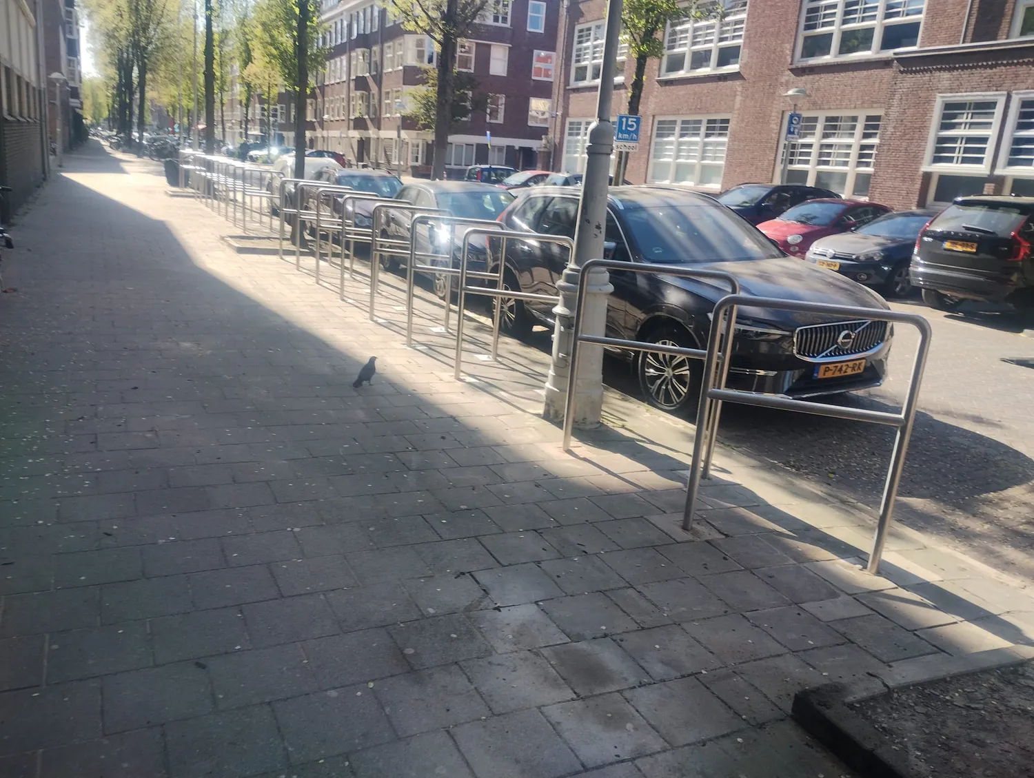 Jaap de Vries Producties Trento fietsnietje RVS 60-120 cm