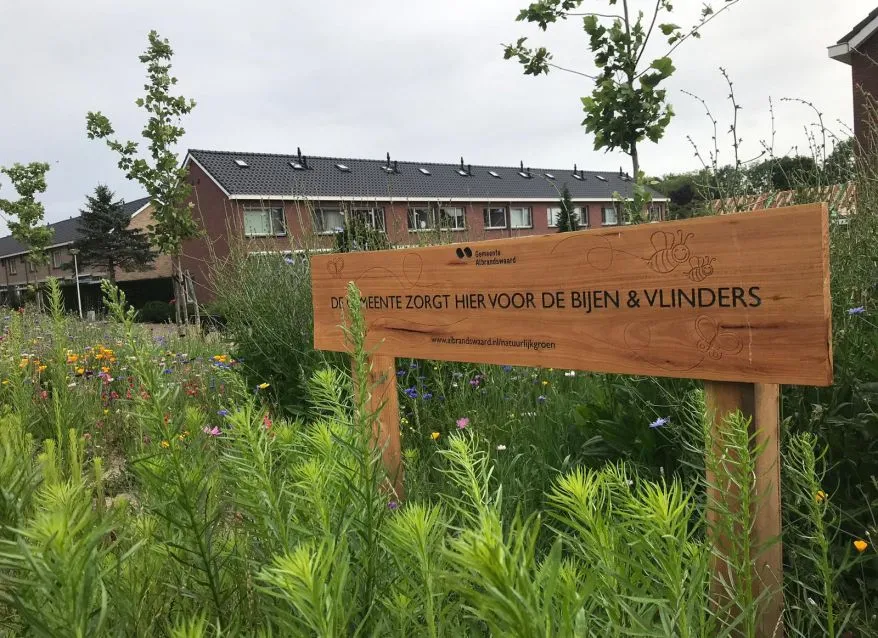 Jaap de Vries Genève houten bord eiken gefreesd
