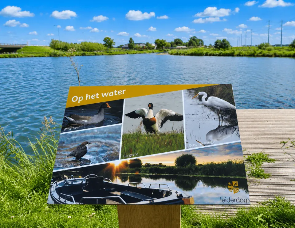 Jaap de Vries informatiebord klein full-colour hout