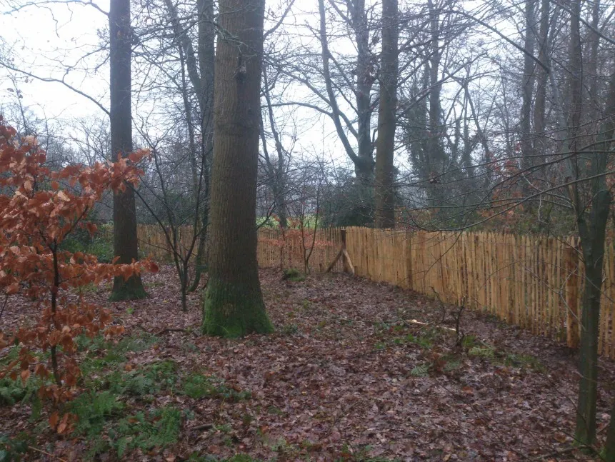 Jaap de Vries Producties Engels hekwerk kastanjehout 120 cm