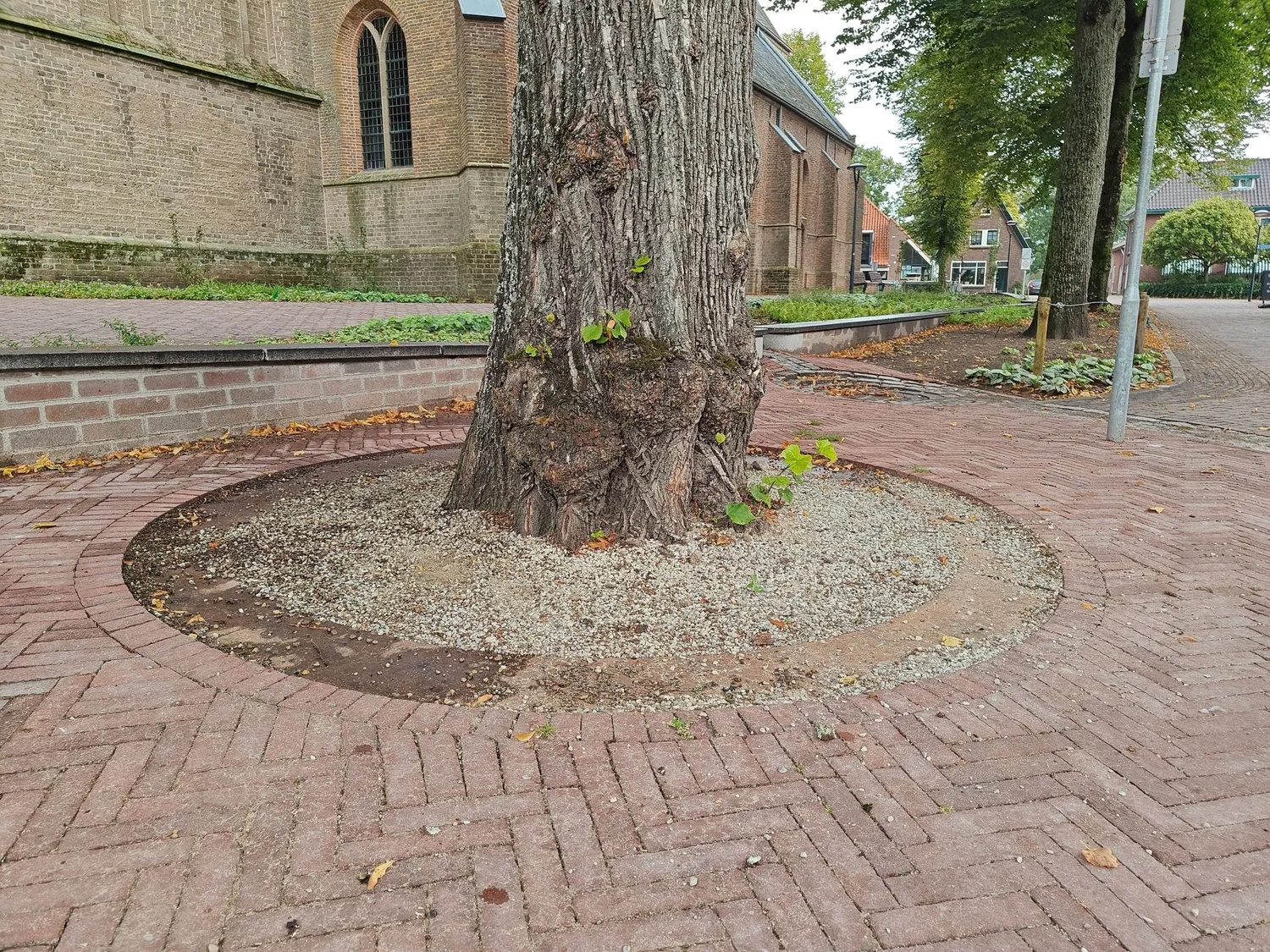 Groundlevel KRRING boomspiegelplint cortenstaal 8-10mm