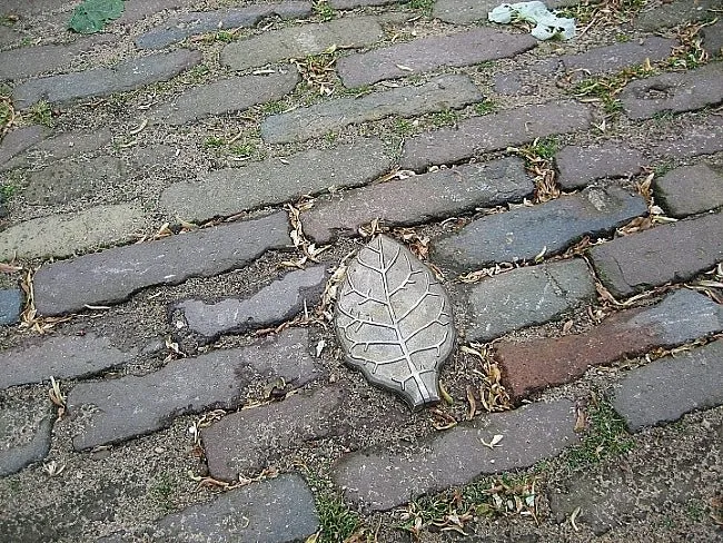 Groundlevel Wegdeknagel gietbrons op maat