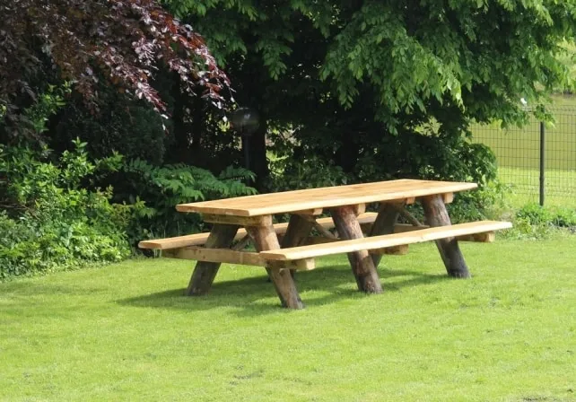 Jaap de Vries Producties Boston 300 picknicktafel 10-12 pers douglas