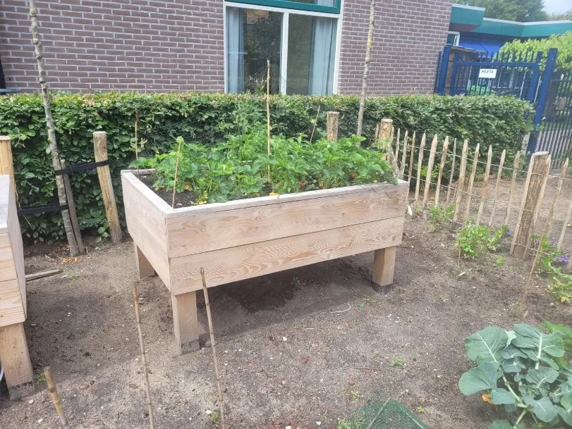 Jaap de Vries Producties Sittard moestuinbak Douglas 1250 mm hoog
